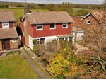 Thumbnail for sale in Wentworth Close, Barnham, West Sussex