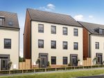 Thumbnail to rent in "Cannington" at Brooks Drive, Waverley, Rotherham