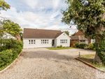 Thumbnail to rent in Priory Road, Bicknacre, Chelmsford