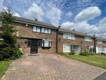 Thumbnail to rent in Ardleigh, Basildon