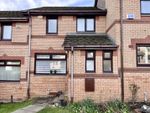 Thumbnail to rent in Speedwell Avenue, Danderhall