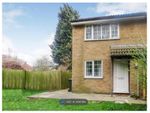 Thumbnail to rent in Willoughby Court, Peterborough