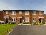 Thumbnail for sale in Foxglove Way, Hambleton, Selby