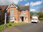 Thumbnail to rent in Buttercup Close, Stockton-On-Tees, Durham