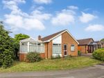 Thumbnail for sale in Richmond Rise, Northallerton