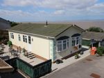 Thumbnail for sale in Two Acres Park, Walton Bay, Clevedon, North Somerset
