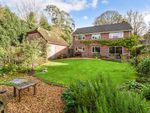 Thumbnail for sale in Plantation Road, Hill Brow, Liss, Hampshire