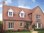 Thumbnail to rent in "The President - Plot 102" at The Meadows, Wynyard, Billingham