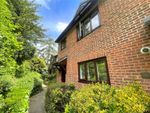 Thumbnail to rent in Nightingale Road, Godalming, Surrey