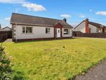 Thumbnail for sale in 4 New Court, Portavogie, Newtownards, County Down