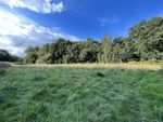 Thumbnail for sale in Ferndown Forest, West Moors, Ferndown