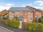 Thumbnail for sale in Elm Tree Place, Four Marks, Alton, Hampshire