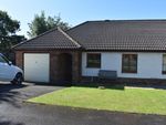 Thumbnail to rent in Cwmffrwd, Carmarthen