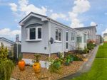 Thumbnail for sale in Lower Road, East Farleigh, Maidstone, Kent