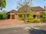 Thumbnail for sale in Cranbourne Drive, Otterbourne, Winchester