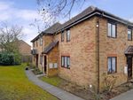 Thumbnail to rent in Joan Lawrence Place, Headington