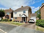 Thumbnail to rent in Lowther Close, Eastbourne, East Sussex