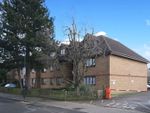 Thumbnail to rent in Harrow Road, Sudbury, Wembley