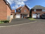 Thumbnail to rent in Gibside Way, Spennymoor, Durham