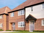 Thumbnail to rent in Farriers View, Bexhill On Sea, East Sussex