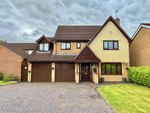 Thumbnail for sale in Burnham Drive, Whetstone, Leicester, Leicestershire.