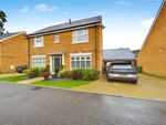 Thumbnail to rent in Timms Close, Horsham