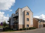 Thumbnail to rent in Fleming Way, Withersfield, Haverhill