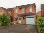 Thumbnail to rent in Brandon Walk, Sutton-In-Ashfield