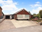 Thumbnail to rent in Beech Road, Elloughton, Brough