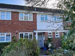 Thumbnail for sale in Springfield Avenue, Hartley Wintney, Hook