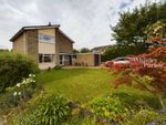 Thumbnail for sale in Peregrine Close, Diss