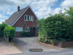 Thumbnail to rent in Hampton Park Road, Hereford