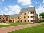 Thumbnail to rent in "Amble" at Vespasian Road, Milton Keynes