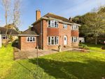 Thumbnail for sale in Cotmaton Road, Sidmouth