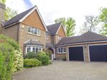 Thumbnail to rent in Redwing Gardens, West Byfleet