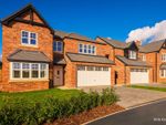 Thumbnail to rent in Acorn Close, Wynyard, Billingham