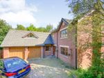 Thumbnail for sale in Yew Tree Terrace, Cwmbran
