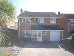 Thumbnail to rent in Hillymead, Seaton