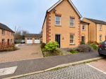 Thumbnail for sale in Bluebell Close, Downham Market