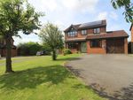 Thumbnail for sale in Plum Tree Road, Lower Stondon, Henlow