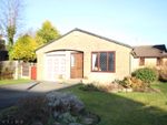 Thumbnail for sale in Chepstow Close, Bamford, Rochdale