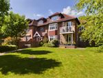 Thumbnail to rent in Ladygrove, Chestnut Avenue, Chichester