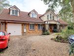 Thumbnail for sale in Birks Drive, Ashley Heath, Market Drayton