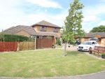 Thumbnail to rent in Bluebell Walk, Soham, Ely