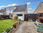 Thumbnail for sale in Honiton Way, North Shields