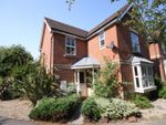 Thumbnail to rent in Orpine Close, Titchfield, Fareham