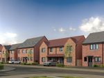 Thumbnail for sale in Golden Meadows, Hartlepool