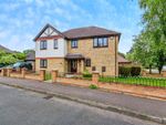 Thumbnail to rent in Woodcote Park, Wisbech