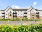 Thumbnail to rent in Ferniesyde Court, Falkirk