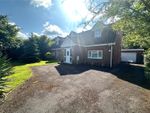 Thumbnail for sale in Longwood Avenue, Waterlooville, Hampshire